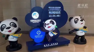 爱游戏-法甲倒计时，奥兰多魔术冲刺阶段豪取连胜，细节引发关注，压力陡增，医务组通报恢复(金州勇士vs奥兰多魔术)